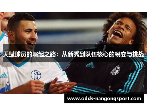 天赋球员的崛起之路:从新秀到队伍核心的蜕变与挑战