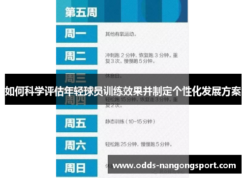 如何科学评估年轻球员训练效果并制定个性化发展方案