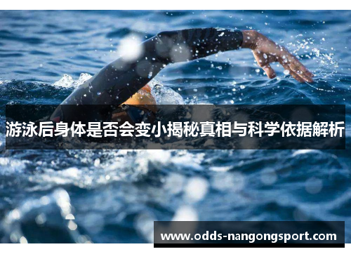 游泳后身体是否会变小揭秘真相与科学依据解析