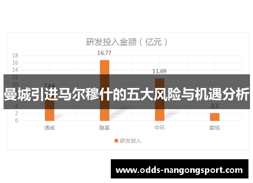 曼城引进马尔穆什的五大风险与机遇分析