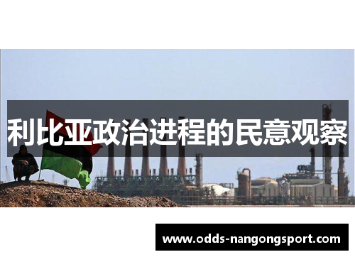利比亚政治进程的民意观察