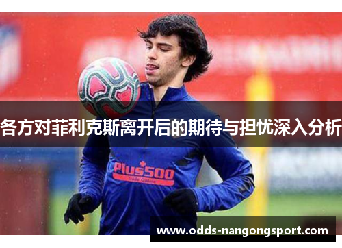 各方对菲利克斯离开后的期待与担忧深入分析