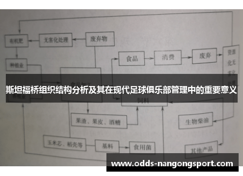 斯坦福桥组织结构分析及其在现代足球俱乐部管理中的重要意义