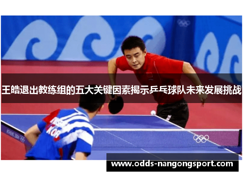 王皓退出教练组的五大关键因素揭示乒乓球队未来发展挑战