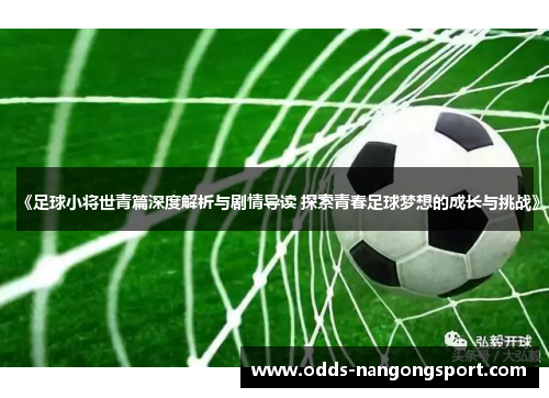 《足球小将世青篇深度解析与剧情导读 探索青春足球梦想的成长与挑战》