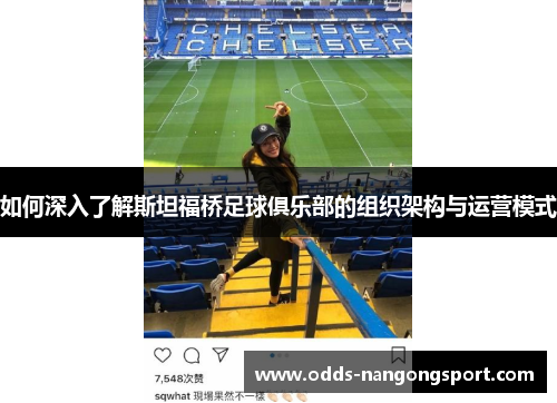 如何深入了解斯坦福桥足球俱乐部的组织架构与运营模式